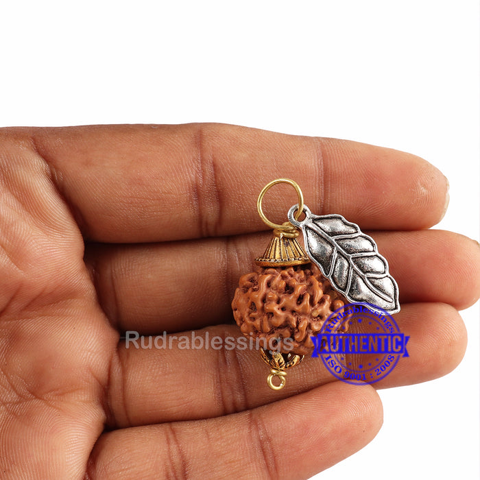 8 Mukhi Rudraksha from Indonesia - Bead No. 190 (with leaf accessory)