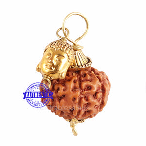 9 Mukhi Rudraksha from Indonesia - Bead No. 203  (with buddha accessory)