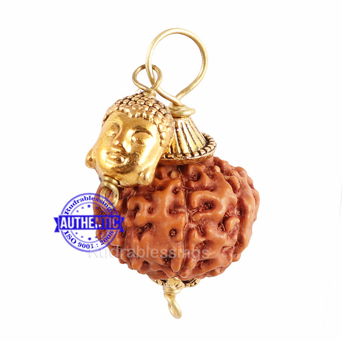 9 Mukhi Rudraksha from Indonesia - Bead No. 203  (with buddha accessory)