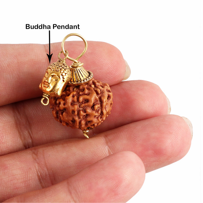 10 Mukhi Rudraksha from Indonesia - Bead No. 147  (with buddha accessory)
