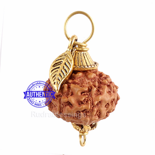9 Mukhi Rudraksha from Indonesia - Bead No. 192  (with leaf accessory)