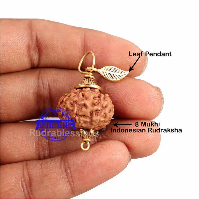 8 Mukhi Rudraksha from Indonesia - Bead No. 180 (with leaf accessory)