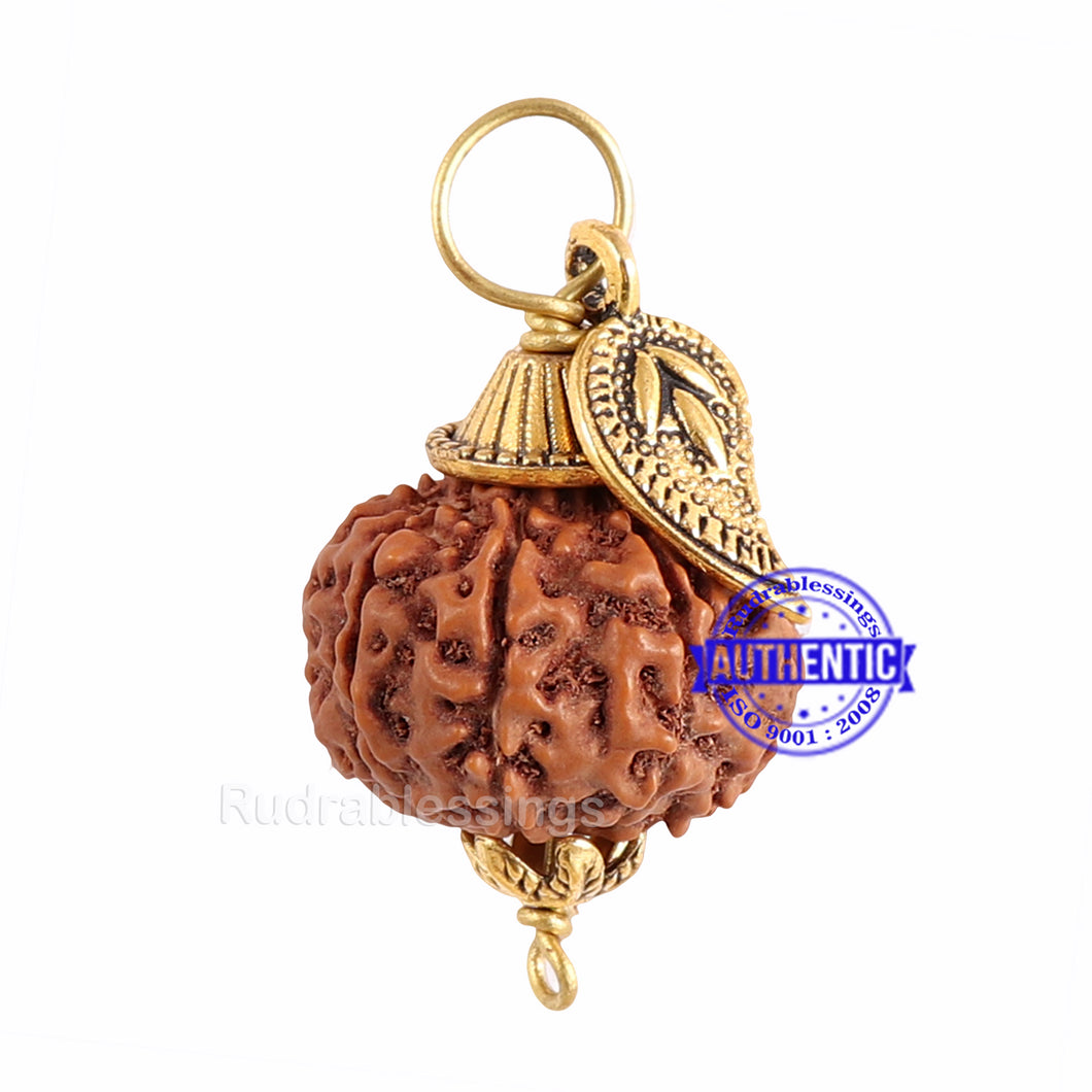 9 Mukhi Rudraksha from Indonesia - Bead No. 193  (with Belpatra accessory)