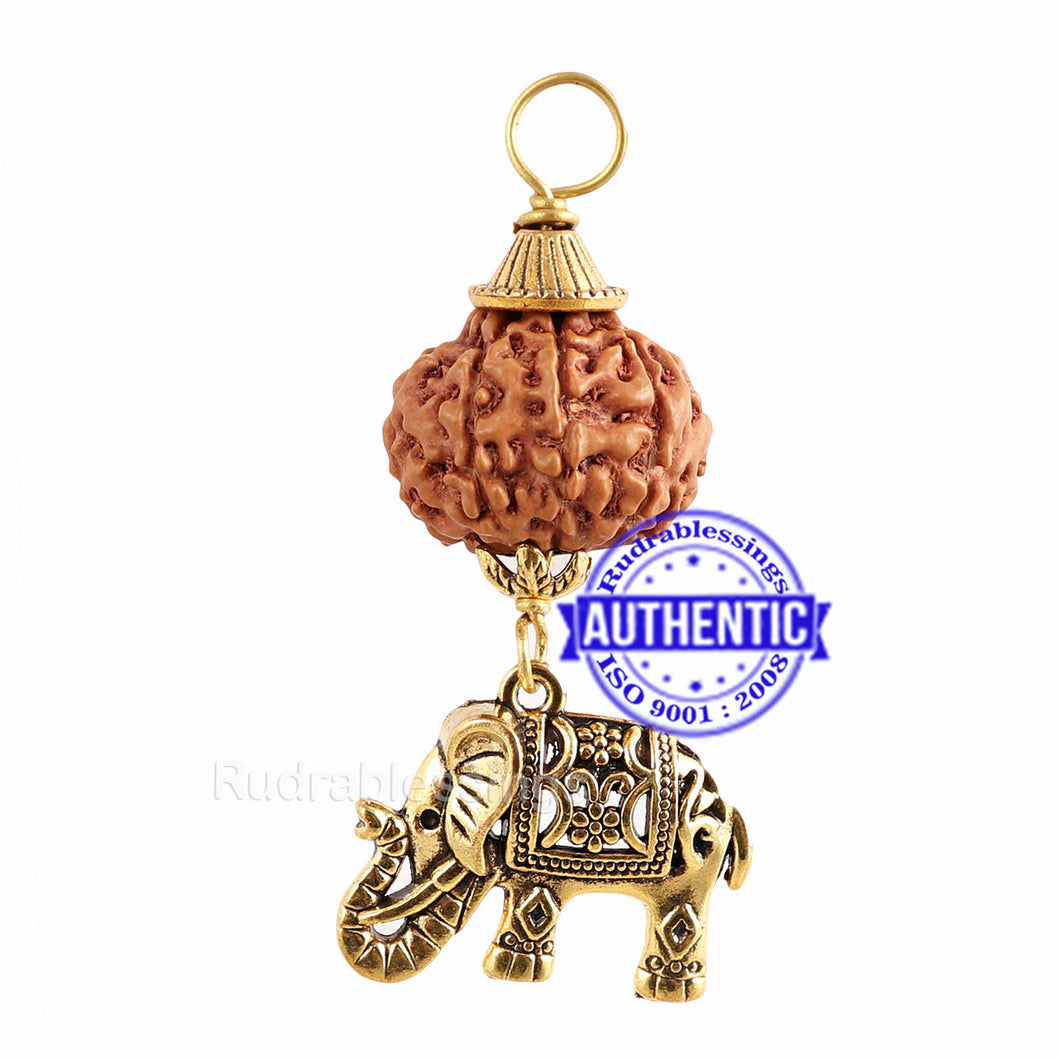 9 Mukhi Rudraksha from Indonesia - Bead No. 194 (with elephant accessory)