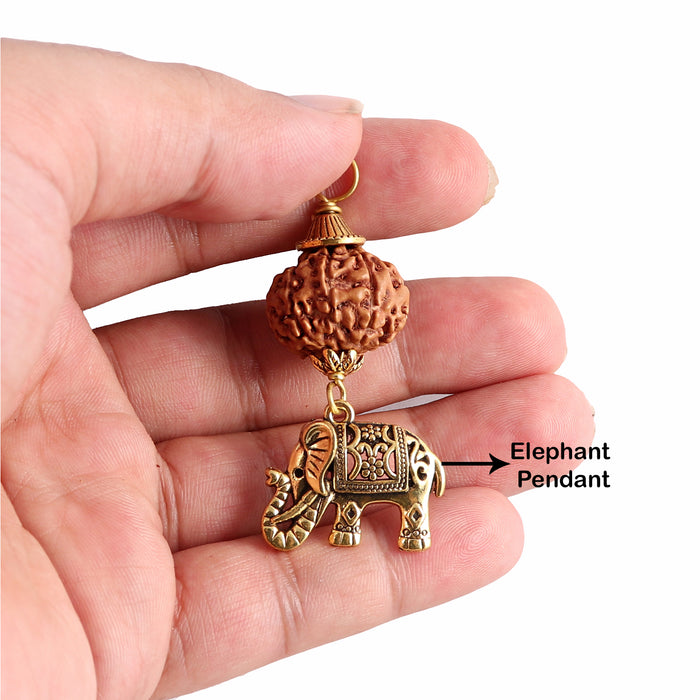 10 Mukhi Rudraksha from Indonesia - Bead No. 138  (with elephant accessory)