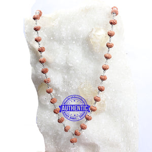 9 Mukhi Indonesian Rudraksha Mala - 54+1 (Pure Silver)