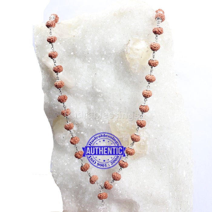 9 Mukhi Indonesian Rudraksha Mala - 54+1 (Pure Silver)
