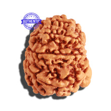 Load image into Gallery viewer, 8 Mukhi Nepalese Rudraksha - Bead No. 238
