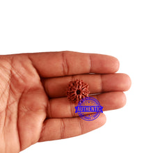 Load image into Gallery viewer, 8 Mukhi Nepalese Rudraksha - Bead No. 274
