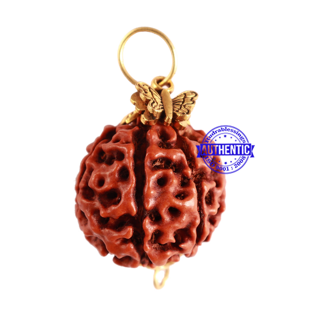 8 Mukhi Hybrid Rudraksha - Bead No. 32 (with Butterfly accessory)