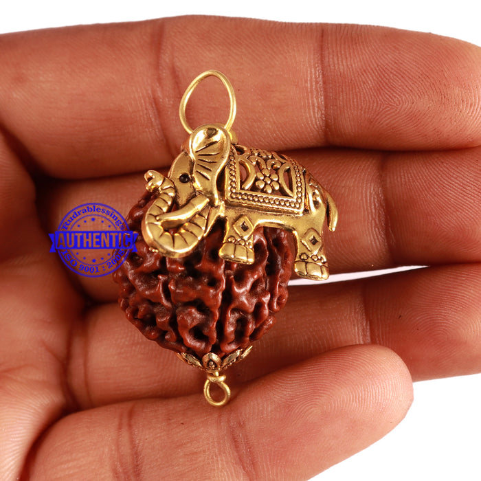 8 Mukhi Hybrid Rudraksha - Bead No. 34 (with Elephant accessory)