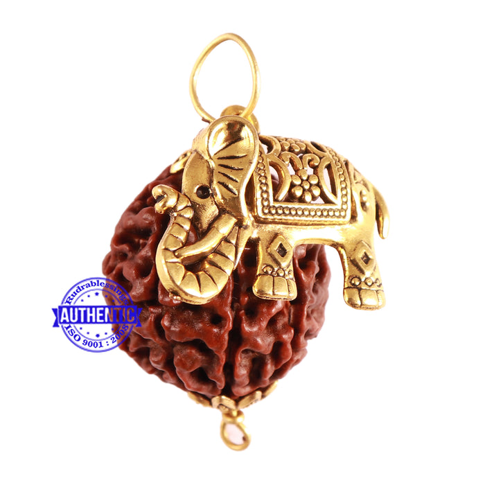 8 Mukhi Hybrid Rudraksha - Bead No. 34 (with Elephant accessory)