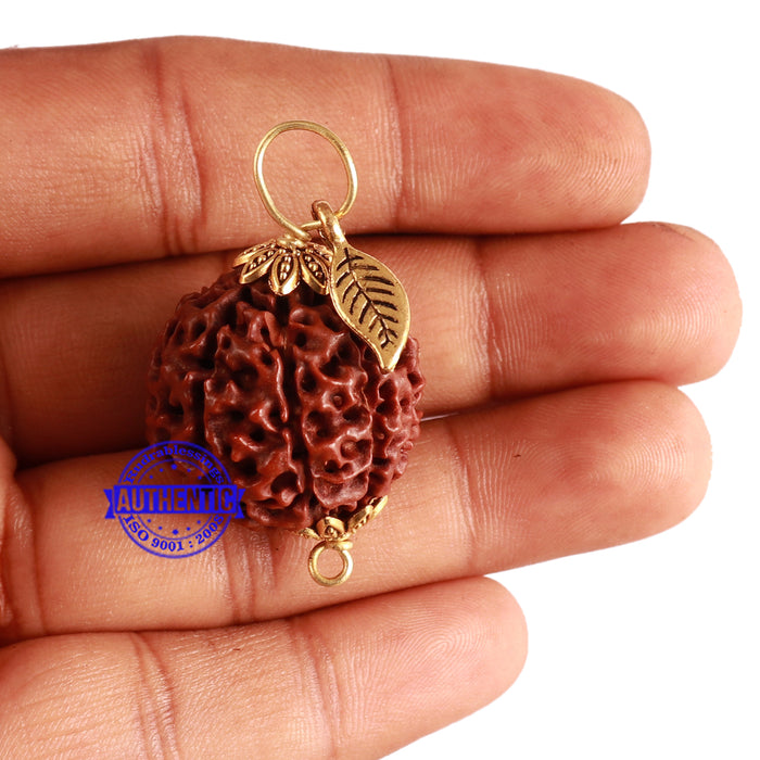 8 Mukhi Hybrid Rudraksha - Bead No. 36 (with Leaf accessory)