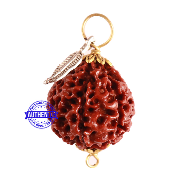 8 Mukhi Hybrid Rudraksha - Bead No. 37 (with Feather accessory)