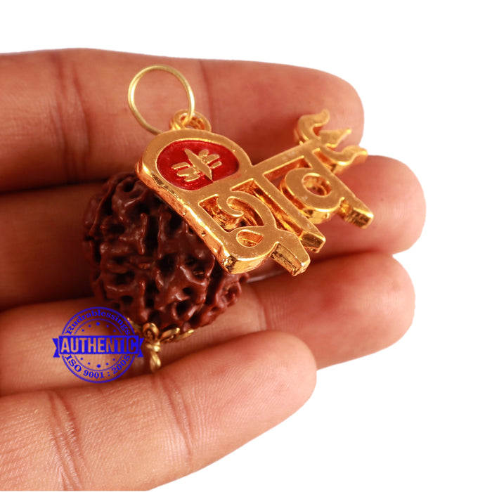 8 Mukhi Hybrid Rudraksha - Bead No. 43 (with Shiv accessory)