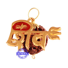 Load image into Gallery viewer, 8 Mukhi Hybrid Rudraksha - Bead No. 43 (with Shiv accessory)
