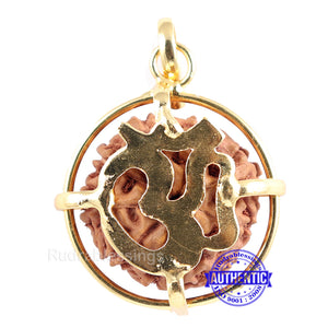 9 Mukhi Rudraksha from Indonesia - Bead No. 183 (Gold Plated Bracket)