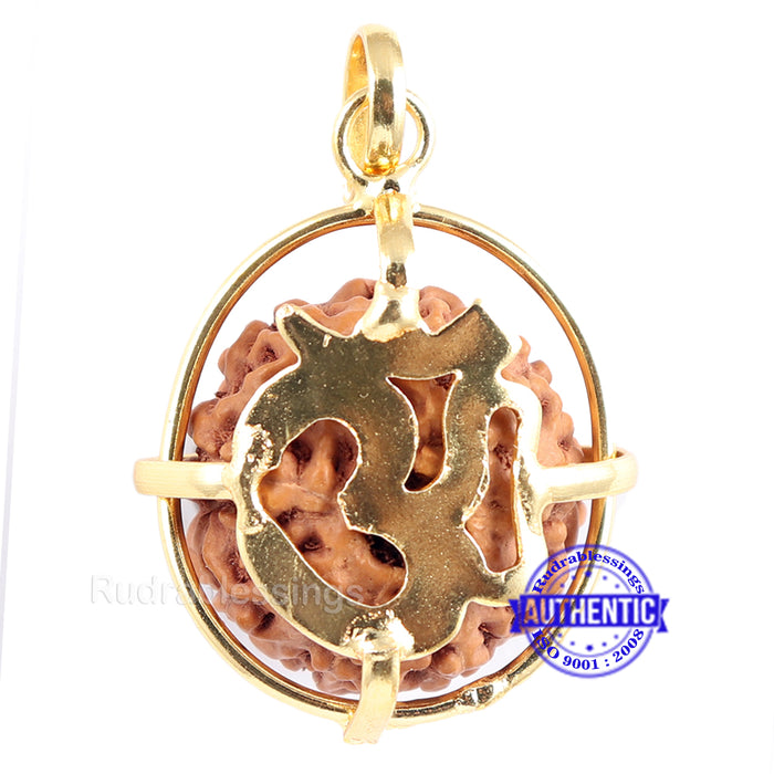 9 Mukhi Rudraksha from Indonesia - Bead No. 187 (Gold Plated Bracket)