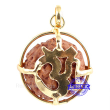 Load image into Gallery viewer, 9 Mukhi Rudraksha from Indonesia - Bead No. 188 (Gold Plated Bracket)
