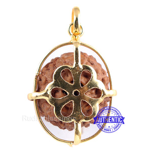 9 Mukhi Rudraksha from Indonesia - Bead No. 189 (Gold Plated Bracket)