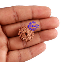 Load image into Gallery viewer, 9 Mukhi Rudraksha from Indonesia - Bead No. 44
