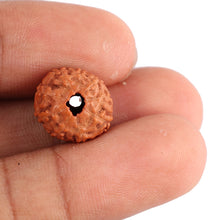 Load image into Gallery viewer, 9 Mukhi Rudraksha from Indonesia - Bead No. 83
