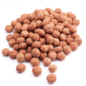 9 Mukhi Rudraksha from Indonesia - 100 Beads Pack