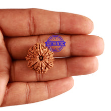 Load image into Gallery viewer, 9 Mukhi Nepalese Rudraksha - Bead No. 214
