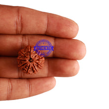 Load image into Gallery viewer, 9 Mukhi Nepalese Rudraksha - Bead No. 265
