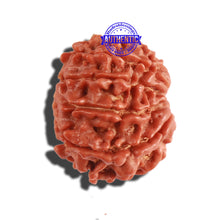 Load image into Gallery viewer, 9 Mukhi Nepalese Rudraksha - Bead No. 294
