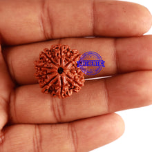 Load image into Gallery viewer, 9 Mukhi Nepalese Rudraksha - Bead No. 305
