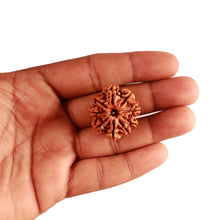 Load image into Gallery viewer, 9 Mukhi Nepalese Rudraksha - Bead No. 311
