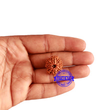Load image into Gallery viewer, 9 Mukhi Nepalese Rudraksha - Bead No. 317
