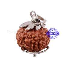 Load image into Gallery viewer, 9 Mukhi Indonesian Rudraksha Pendant in Pure Silver - 1
