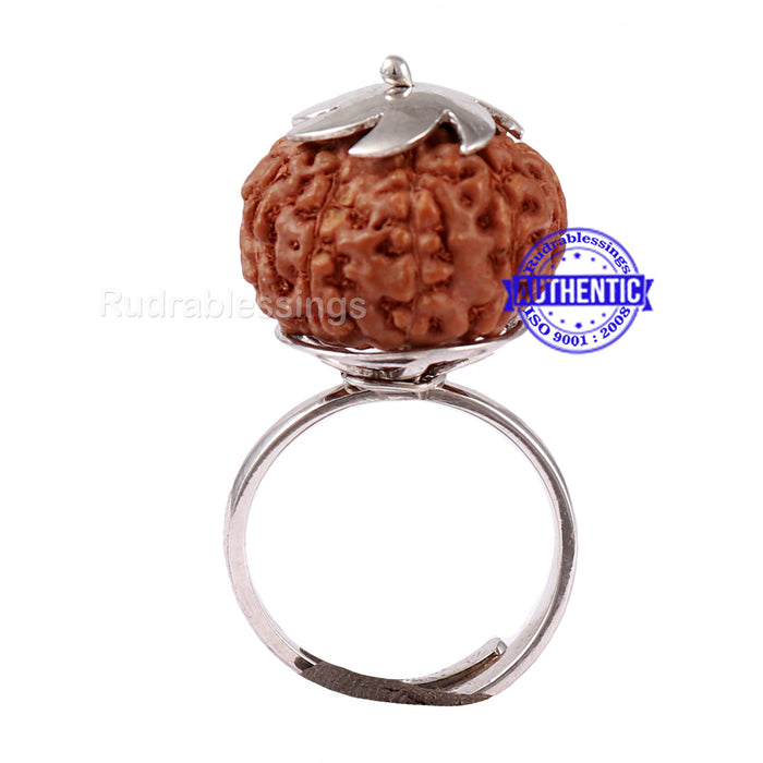 9 Mukhi Indonesian Rudraksha Ring - 19
