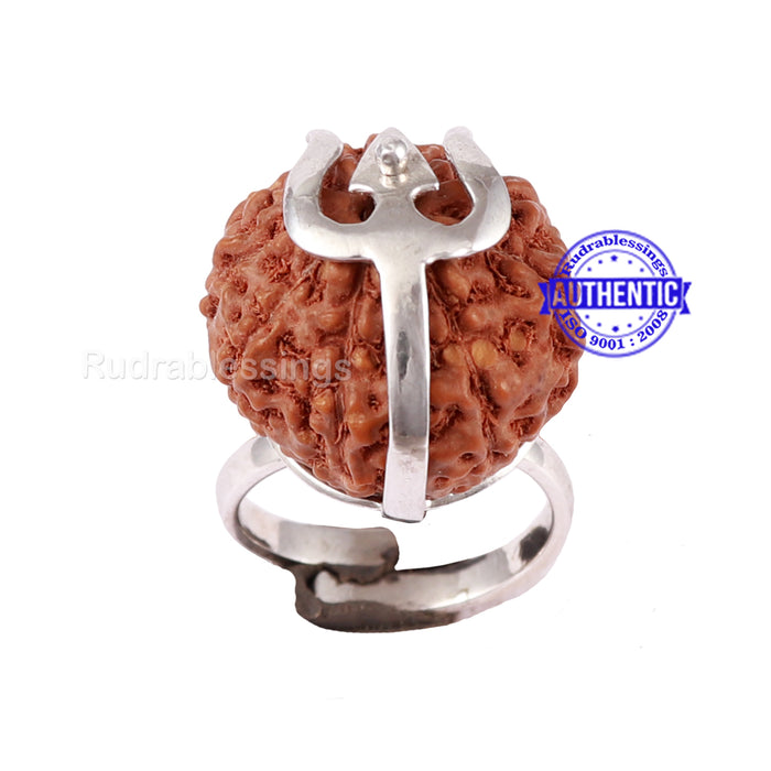 9 Mukhi Indonesian Rudraksha Ring - 20