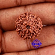 Load image into Gallery viewer, 9 Mukhi Rudraksha from Indonesia - Bead No. 26
