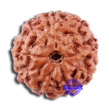 Load image into Gallery viewer, 9 Mukhi Rudraksha from Indonesia - Bead No. 3
