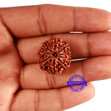 Load image into Gallery viewer, 9 Mukhi Nepalese Rudraksha - Bead No. 349
