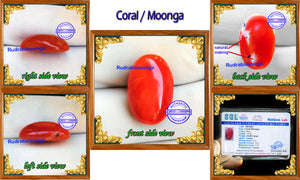 Coral / Moonga for planet Mars / Mangal - 11