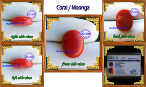 Coral / Moonga for planet Mars / Mangal - 17