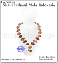 Load image into Gallery viewer, Enroute to Rudraksha Shahi Indrani Mala from Indonesia - 4
