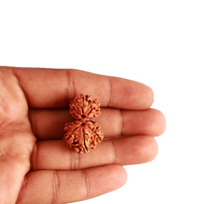 Gaurishanker Nepalese Rudraksha Bead No. - 193