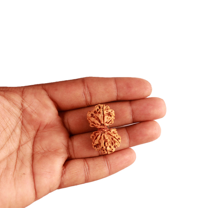 Gaurishanker Nepalese Rudraksha Bead No. - 200