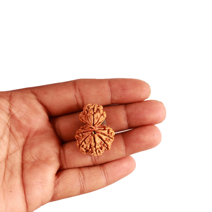 Gaurishanker Nepalese Rudraksha Bead No. - 205