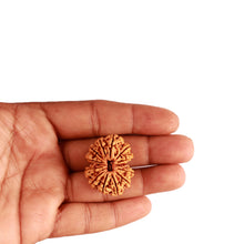 Load image into Gallery viewer, Gaurishanker Nepalese Rudraksha Bead No. - 210
