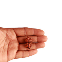 Load image into Gallery viewer, Gaurishanker Nepalese Rudraksha Bead No. - 212

