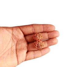 Load image into Gallery viewer, Gaurishanker Nepalese Rudraksha Bead No. - 219
