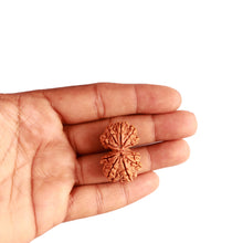 Load image into Gallery viewer, Gaurishanker Nepalese Rudraksha Bead No. - 225
