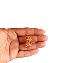 Load image into Gallery viewer, Gaurishanker Nepalese Rudraksha Bead No. - 235
